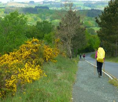 2023-24 Pilgrimage tour in Spain: Sarria to Santiago de Compostela