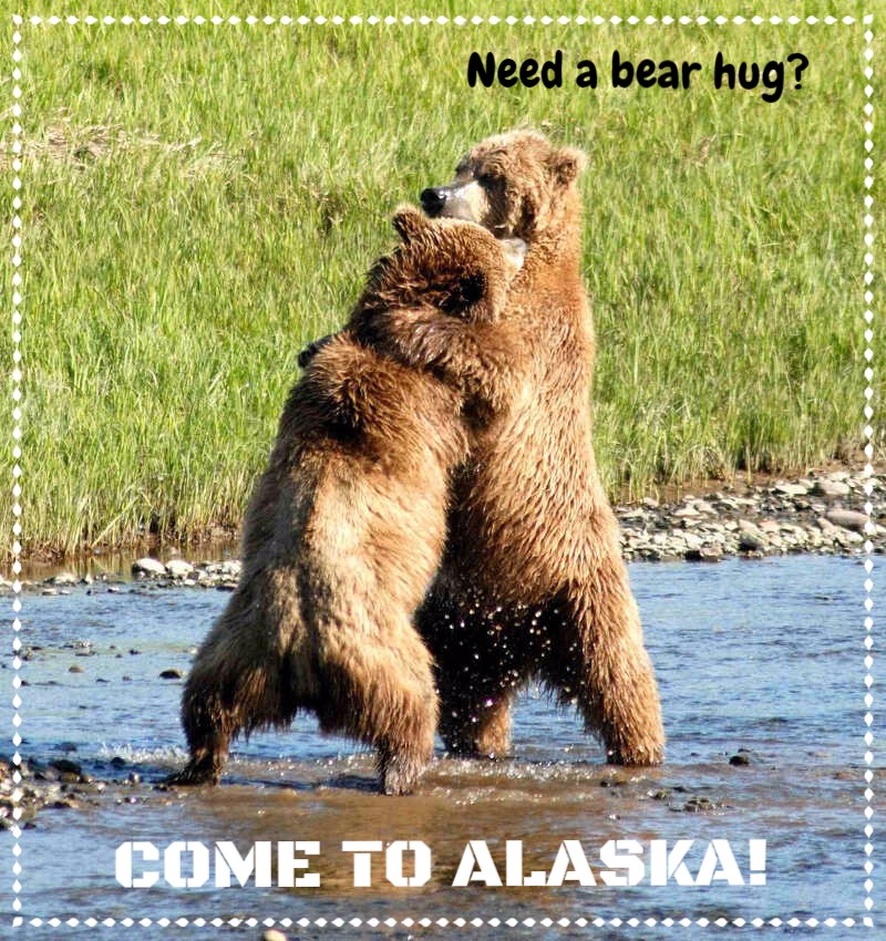 NEED A HUG? JOIN OUR ALASKA SMALL GROUP TOURS